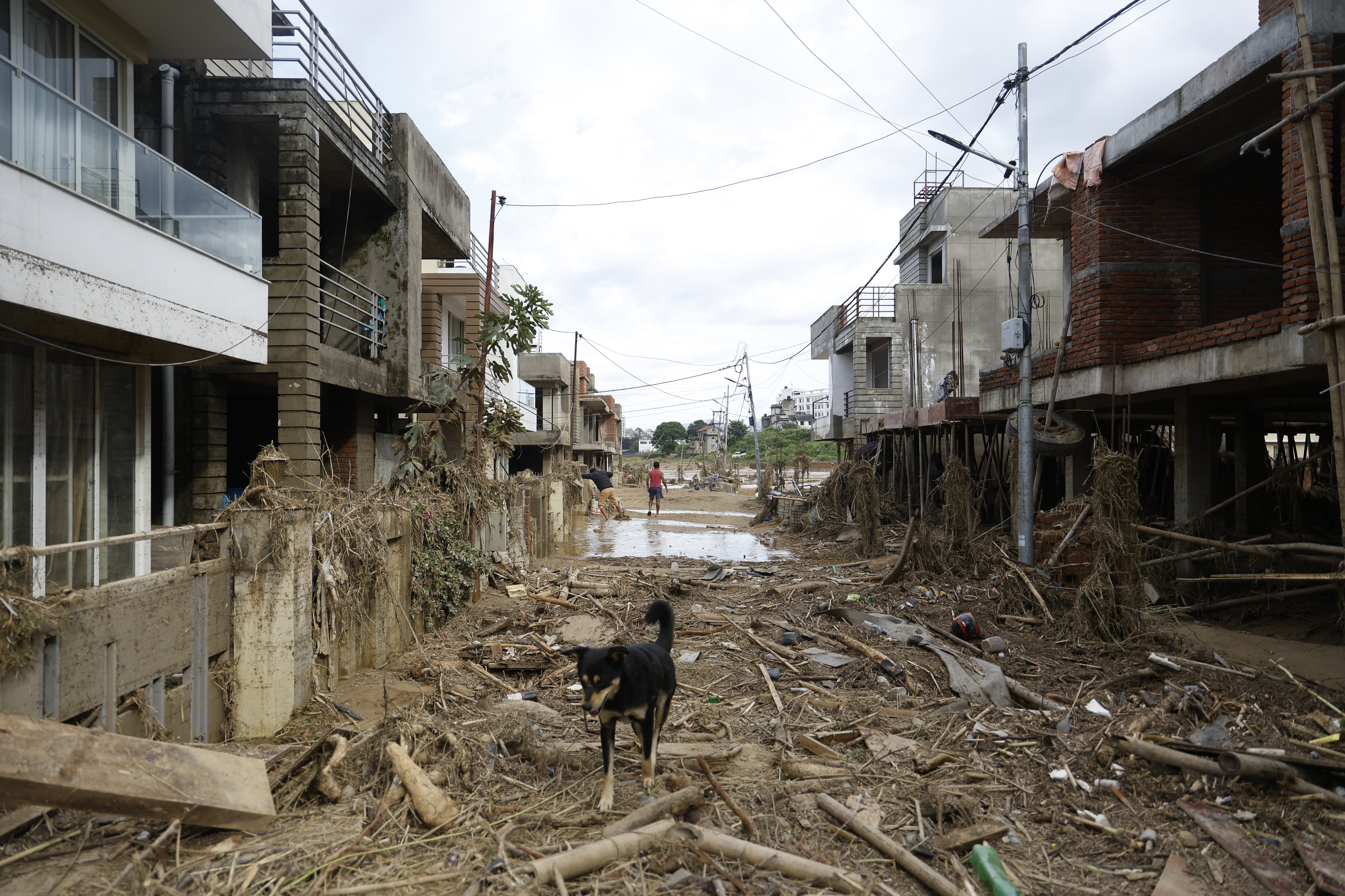 flood ktm (9).JPG